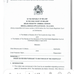 Olika Nkhoma and 13 others V Child Protection Team - Miscellaneous Application No 116 of 2016